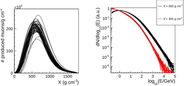 Figure 3: Left panel:total number of muons produced per g cm −2 (h(X)) for 50 proton showers at 10 19 eV and 60 deg.