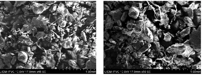 Figura 38 - Imagens da microscopia de varrimento, sendo a imagem da esquerda uma ampliação de 45x e a da  direita com uma ampliação de 50x.