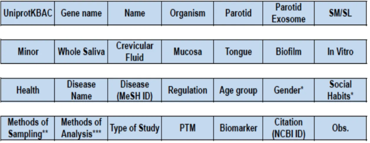 Figura  7-  Cabeçalhos  que  permitem  a  organização  da  informação  catalogada    dos  diferentes  estudos  de  proteómica  analisados  (proteínas  identificadas  na  periodontite  crónica  e  doenças  cardiovasculares) numa tabela em Microsoft Excel 20