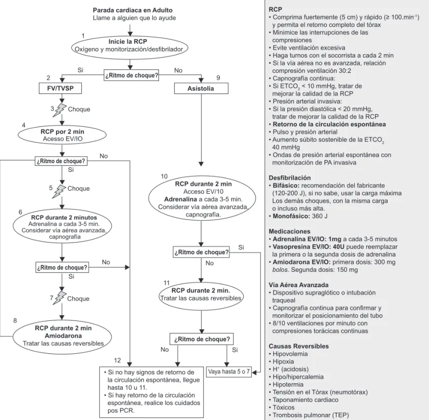 Figura 2 – Algoritmo de Soporte Avanzado de Vida.