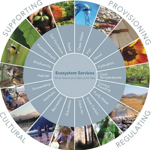 Figura 1 - Serviços do Ecossistema - Milennium Ecosystem Assessment (2005)