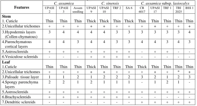 Table 2 Anatomical variation in tea clones of three Camellia species  Features 
