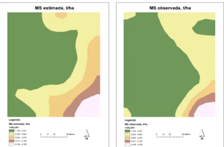 Figura 5. Mapas ilustrativos da distribuição de valores de produção de matéria seca: à  esquerda, valores estimados pela equação de regressão estabelecida a partir da medição 