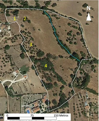 Figura 4. Fotografia aérea da parcela da Quinta da Silveira (a linha branca traduz o  limite exterior da parcela; a linha azul representa a linha de água; 1-ovil; 2-amoreira; 