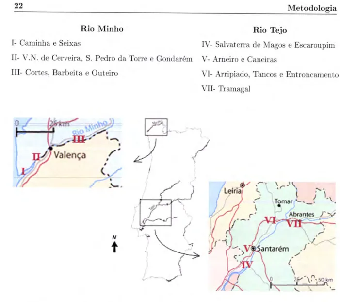 Figura 3.1:  Mapa  com  as  localidades ao longo do  Rio  Minho  e do  Rio  Tejo,  onde  se  efectuaram  os registos diários  de  capturas  de  lampreia-marinha  durante  a época  de  2009