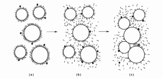 Figura 10: Ataque esquemático pela quimosina (representada por pequenos pontos negros)  sobre as micelas de caseína