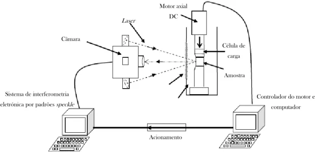 Figura 6.7 – Esquemática de um sistema experimental de interferometria eletrónica por padrões  speckle  adaptado de (Shahar et al