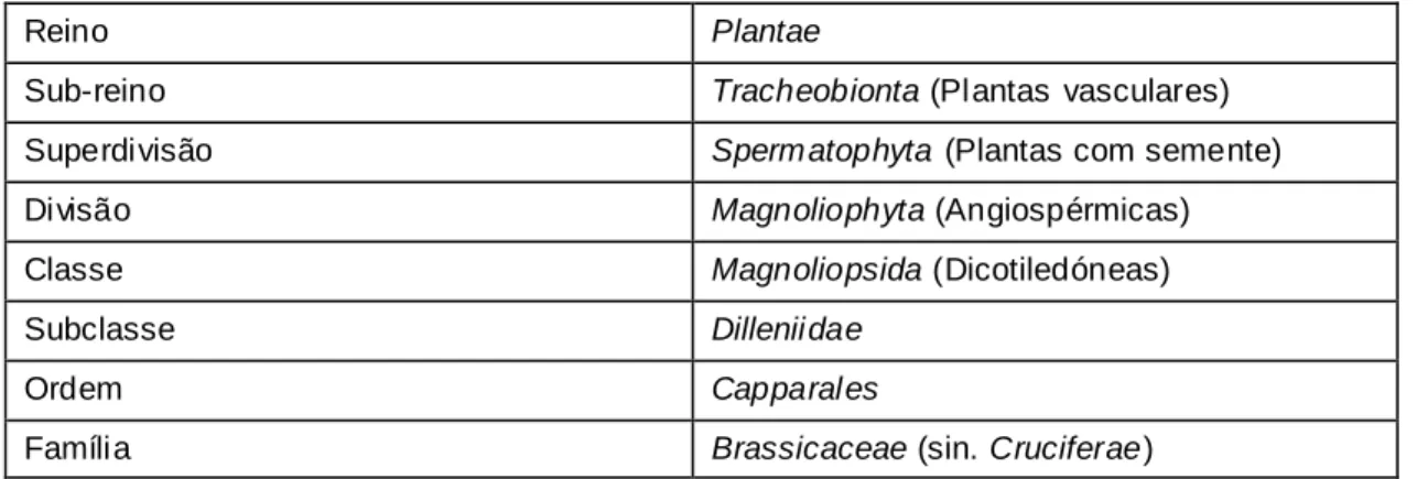 Tabela 1 – Enquadramento taxonómico da família das Brassicáceas (adaptado de Almeida, 2006)