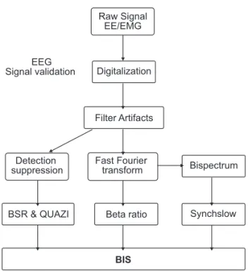 Figure 5 – Subparameters Generating BIS.