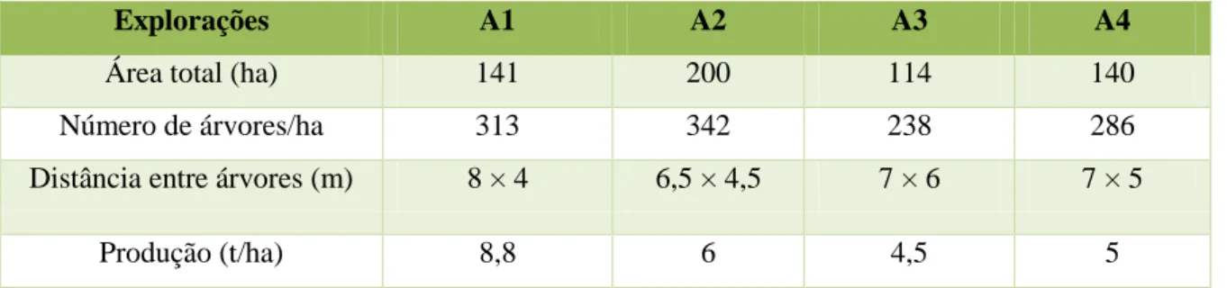 Tabela 1 – Caracterização dos olivais intensivos 