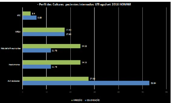 Gráfico 4. Perfil das culturas dos pacientes internados na UTI do HONPAR. 