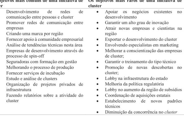 Tabela 9. Objetivos comuns e raros de uma iniciativa de cluster. 