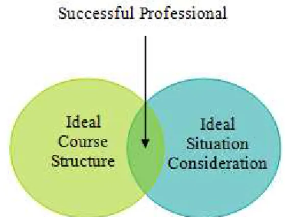Figure 1 Ideal Strategy for Successful Professional 