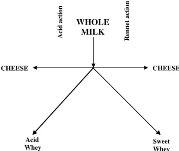Fig. 1. Schematic diagram of acid- and rennet-mediated cheese making.