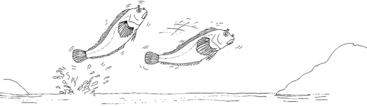 Fig.  25  -  Jumping out of the water while fleeing. 