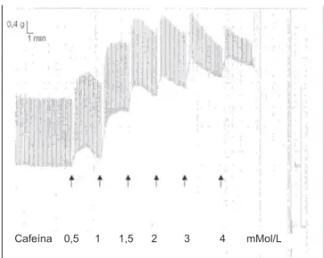 Figura 3  Test de Contractura Muscular in vitro en Respuesta  a la Cafeína (paciente 4).