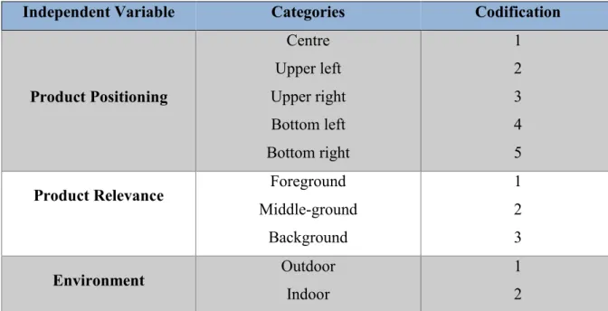 Table 2: Fit brand/influencer variable and its categories and respective explanation  