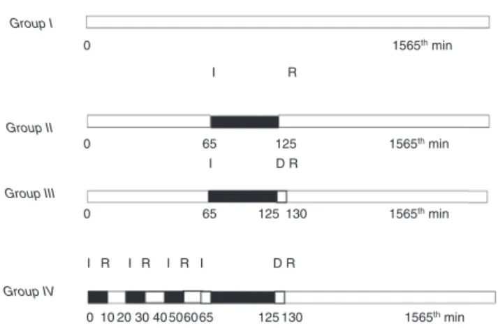 Figure 1 Schematic representation of the experimental pro- pro-tocol. I, ischemia; R, reperfusion; D, deksmedetomidine.