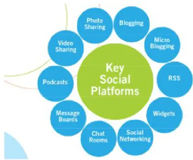 Figure 3: Key social media platforms  