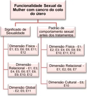 Figura 1 – Funcionalidade Sexual da Mulher com cancro do colo do útero – categorias e subcategorias 