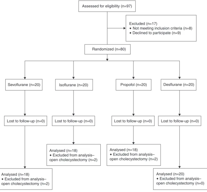 Figure 1 CONSORT flow diagram.
