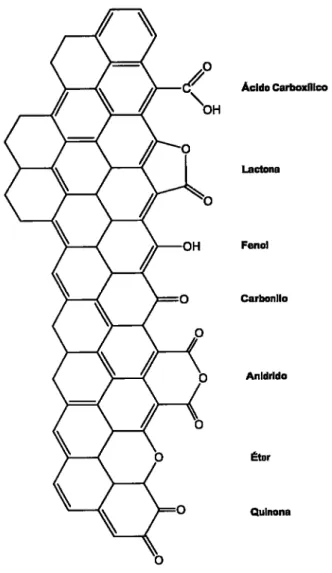 Figura  I.4.  Representação  esquemática  dos  principais  grupos  funcionais  presente  na  superfície de  um carvão  activado