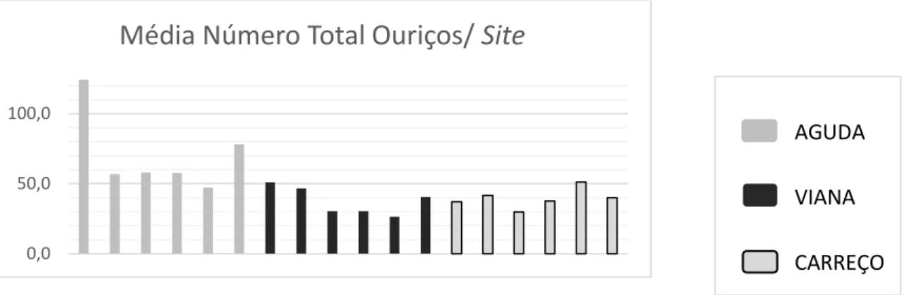 Fig 17. Gráfico mostrando os valores médios do número total de ouriços, separados pelos 6  sites amostrados no  total em cada praia