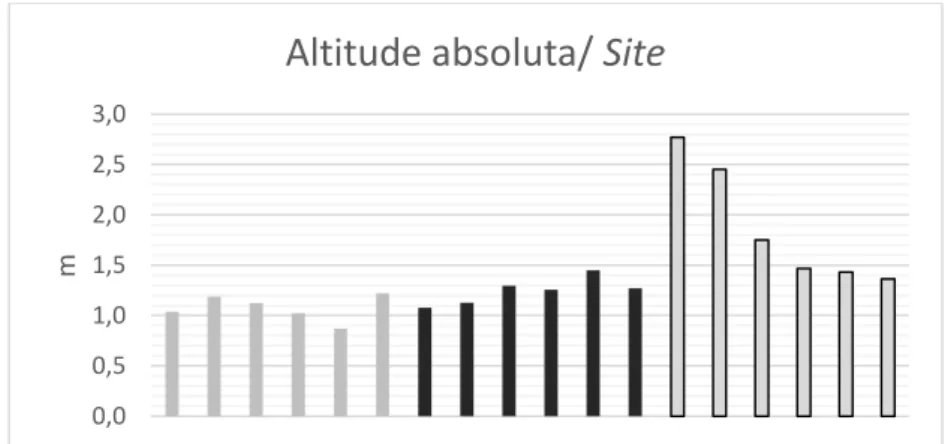 Fig  30.  Gráfico  mostrando  os  valores  médios  da  altitude absoluta das poças  de  cada  site