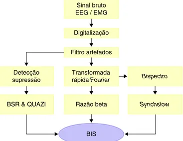 Figura 4 Subparâmetros geradores do BIS.