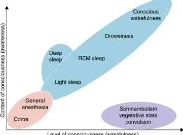 Figure 1 Components of consciousness: level and content of consciousness.