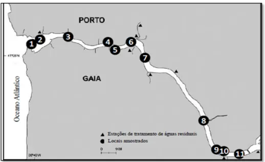 Figura 1.  2 - Locais de amostragem no estuário do rio Douro (Madureira et al., 2010) 