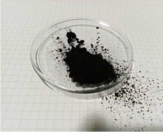 Figura 2. 4 – Foto do carvão ativado  sobre a forma de grânulos da Norit 