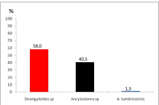 Figura 2. Ocorrência das espécies de helmintos nas 69 amostras positivas de areia coletadas  nas praças públicas de Maceió-AL