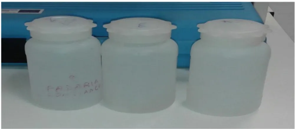 Figura 11 - Frascos de Polipropileno de 500 ml usado para coleta das amostras 