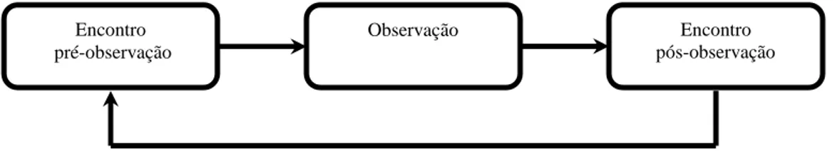 Figura 4 - Ciclo de observação (Vieira, 1993).    