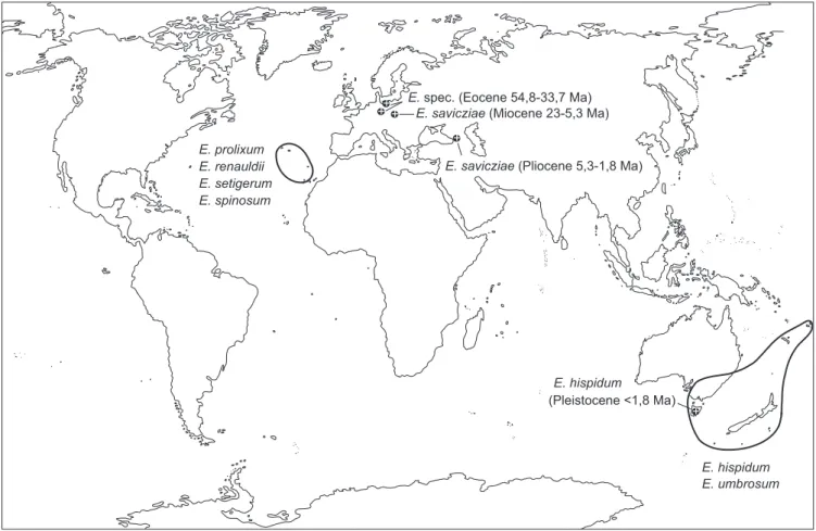 Fig. 1. Extant disjunct distribution of the moss genus Echinodium (bold lines), with names of the species occurring on the Macaronesian islands and in the Australasian/Paciﬁc regions, respectively, as well as locations and ages (in million years before pre