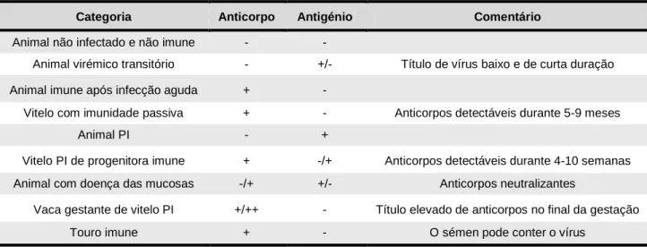 Tabela 1 – Categorias de animais numa população onde o BVDV é prevalente e resultados esperados dos testes de  anticorpo e antigénio no soro  ( Adaptado de Sandvik 1999)