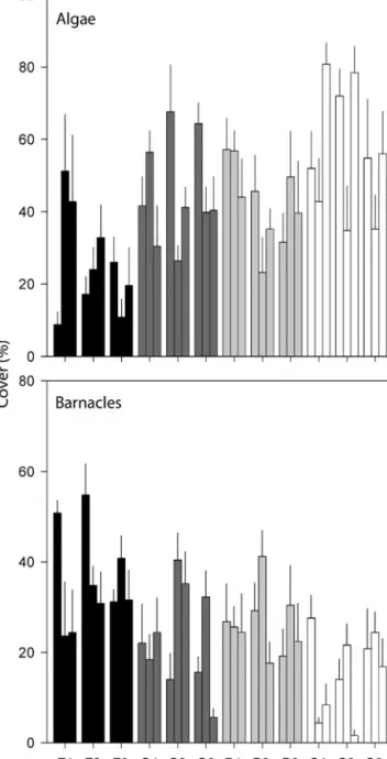 Table 4. Patterns of algal and barnacle abundance at a hierarchy of spatial  scales. See Table 2 for nomenclature
