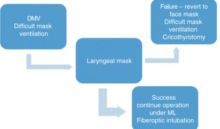 Figure 1 Difficult mask ventilation (DMV).