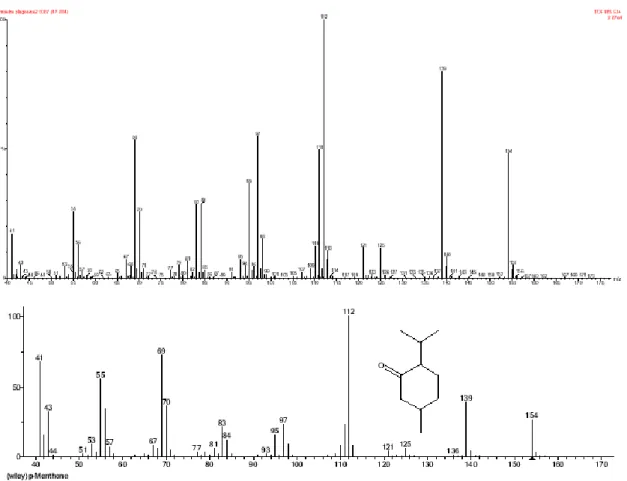 Figura 12 -  Espectro de massa obtido para o segundo maior pico e respective espectro de referência para a mentona