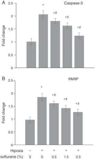 Figure 3 Quantitative real time-PCR for caspase-3 (A) and PARP (B). Total RNA were isolated from hippocampul slices (n = 3)