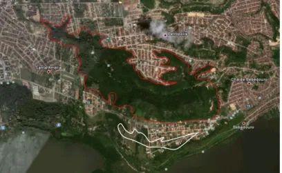 Figura  01:  Mapa  mostrando  a  área  do  Parque  Municipal  de  Maceió   delimitada  pela  linha  vermelha