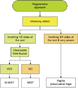 Figura 4 Fluxograma da escolha de abordagem cirúrgica  tendo em conta a morfologia e extensão do defeito (adaptado 