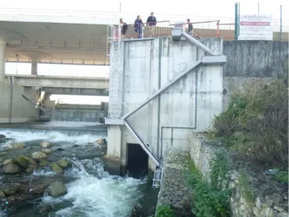 Figura 14 - Área jusante da PPEnguias, composta por caleiras intercaladas com bacias de descanso 