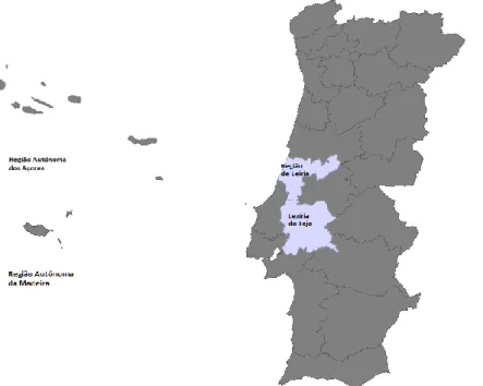 Figura 3 - Representação da distribuição do tecido empresarial das regiões do Cluster III