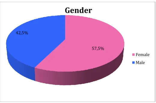 Figure 14 - Gender Statistics 