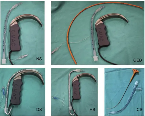Figure 1 Stylets according to group. NS, no stylet; HS, hockey-stick stylet; DS, D-blade type stylet; GEB, gum elastic bougie; CS, CoPilot VL rigid stylet ® .