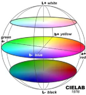 Fig. 1.9 – Diagrama tridimensional do espaço de cor utilizado no sistema* CIELAB (L*, a*, b) (handprint media,  2001)
