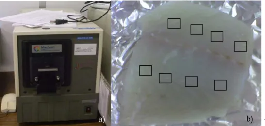 Fig. 2.3. a) Espectrocolorímetro triestímulo Macbeth Color-Eye 3000; b) Locais onde se  efectuaram as medições nos filetes