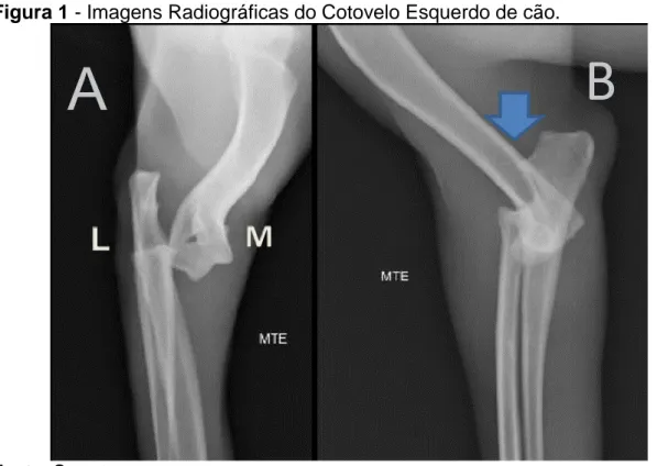 Figura 1 - Imagens Radiográficas do Cotovelo Esquerdo de cão.